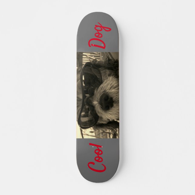 Skateboard Perro Guay con gafas de sol (Anverso )