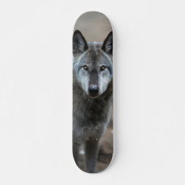 Skateboard Perro lobo salvaje depredador curioso