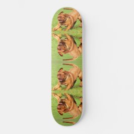 Skateboard Perro loco