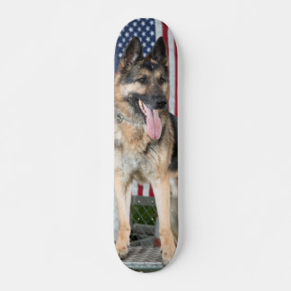 Skateboard Perro pastor alemán