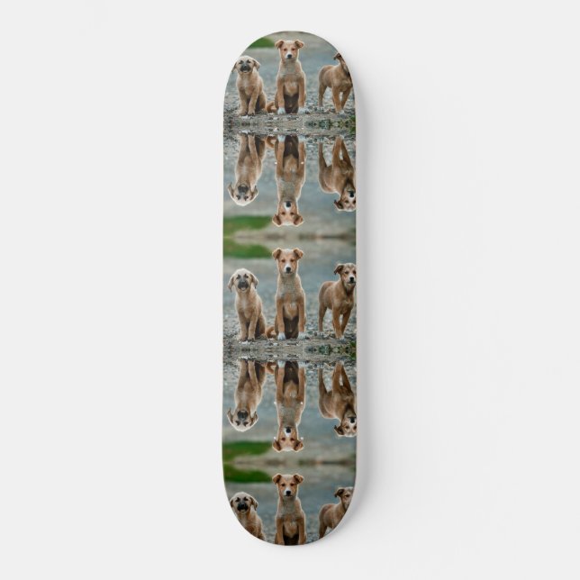 Skateboard Perros Cute (Anverso)