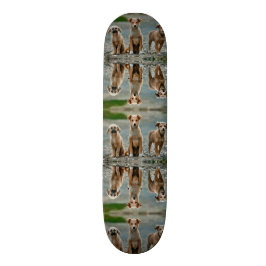 Skateboard Perros Cute