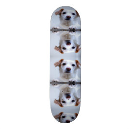Skateboard Perros Cute