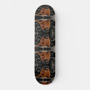 Skateboard Perros divertidos