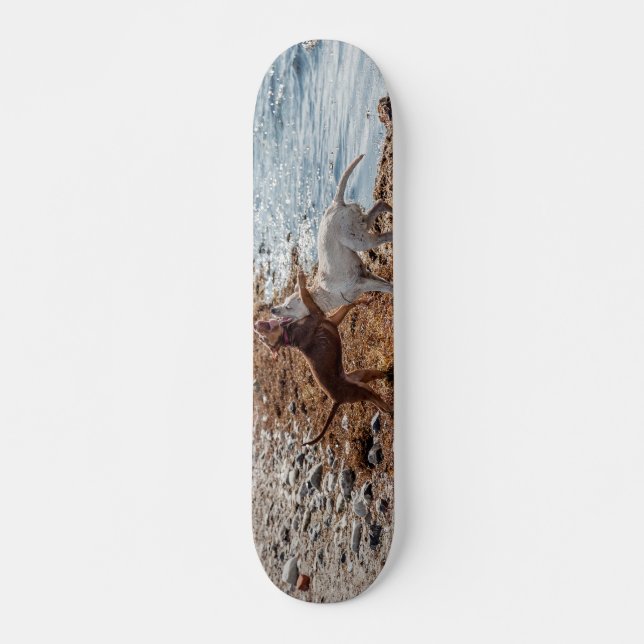 Skateboard Perros en la playa (Anverso )