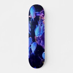 Skateboard Pescado azul tropical