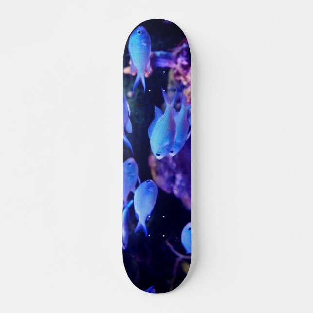 Skateboard Pescado azul tropical (Anverso )