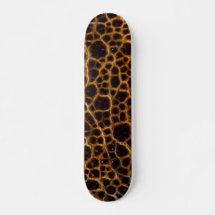 Skateboard Piel de cocodrilo cocodrilo falso