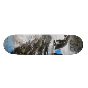 Skateboard Pingüinos