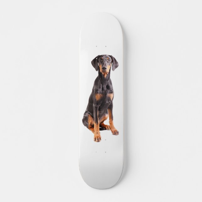 Skateboard pinscher hermoso del doberman (Anverso )