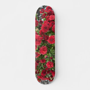 Skateboard pista de patinaje