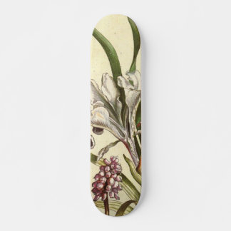 Skateboard Pizarra De Patinaje Sobre La Violeta De Los Diente
