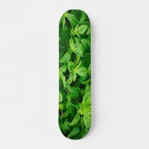 Skateboard Placa 2 para hojas