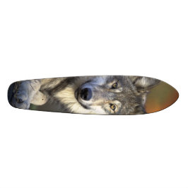 Skateboard Placa de esquí Wolf Wisdom