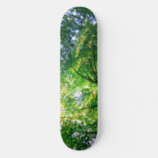 Skateboard Placa de patinaje LiveGreen