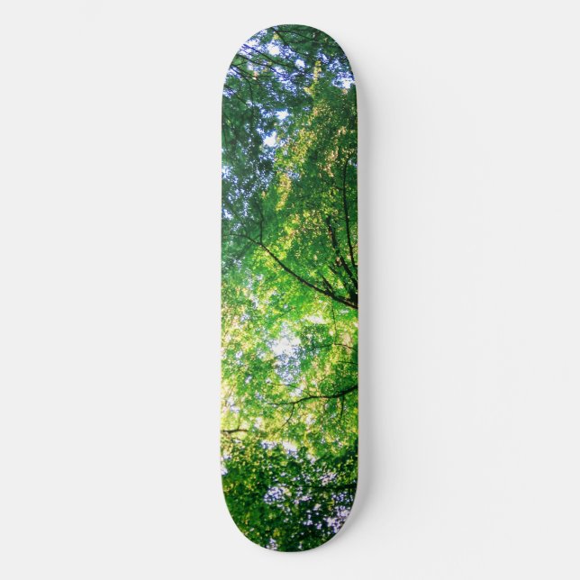 Skateboard Placa de patinaje LiveGreen (Anverso)