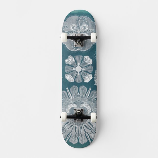 Skateboard Plano Azul marino IV (Anverso)