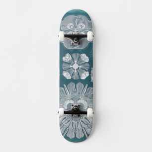 Skateboard Plano marino IV