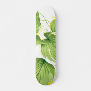 Skateboard Planta de Ficus