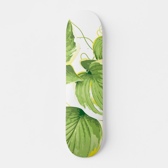 Skateboard Planta de Ficus (Anverso )