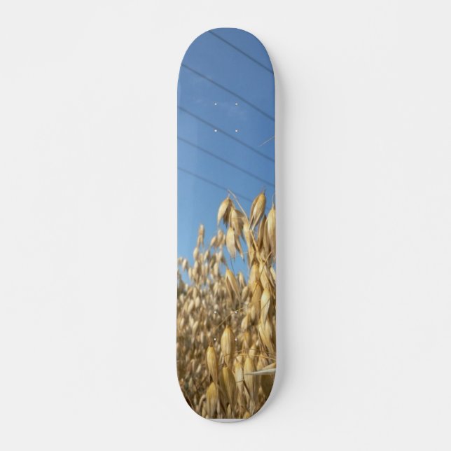 Skateboard Planta de la avena (Anverso )