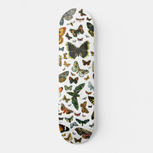 Skateboard Plantilla