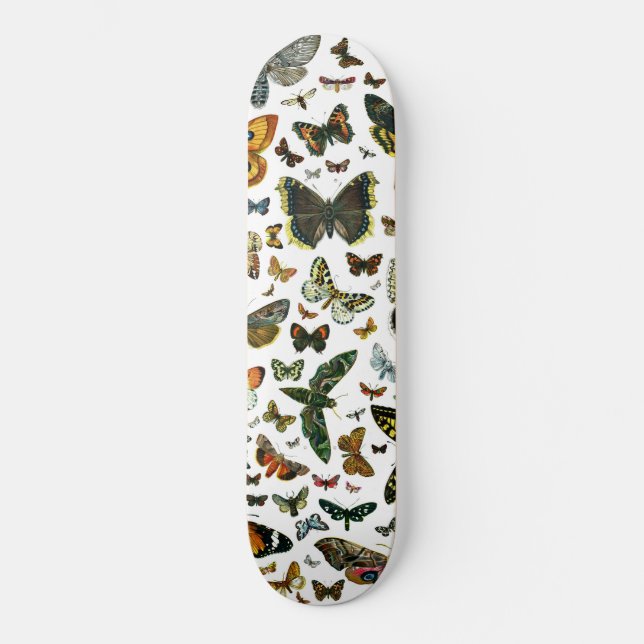Skateboard Plantilla (Anverso)