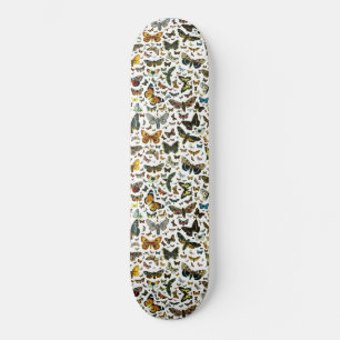 Skateboard Plantilla