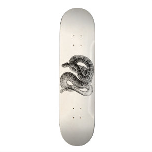 Skateboard Plantilla de la serpiente del reptil de la
