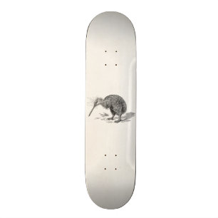 Skateboard Plantilla de los pájaros de la antigüedad del
