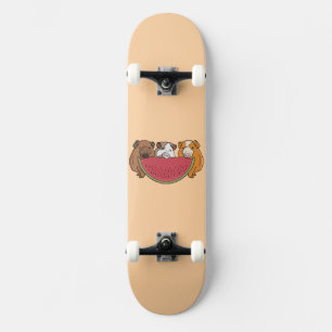 Skateboard Playas de Guinea y Ilustracion de sandía