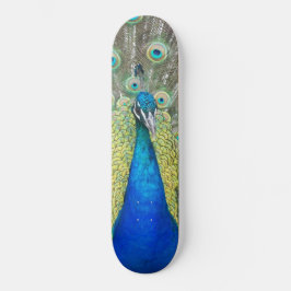 Skateboard Pluma de plumas de pavo real azul