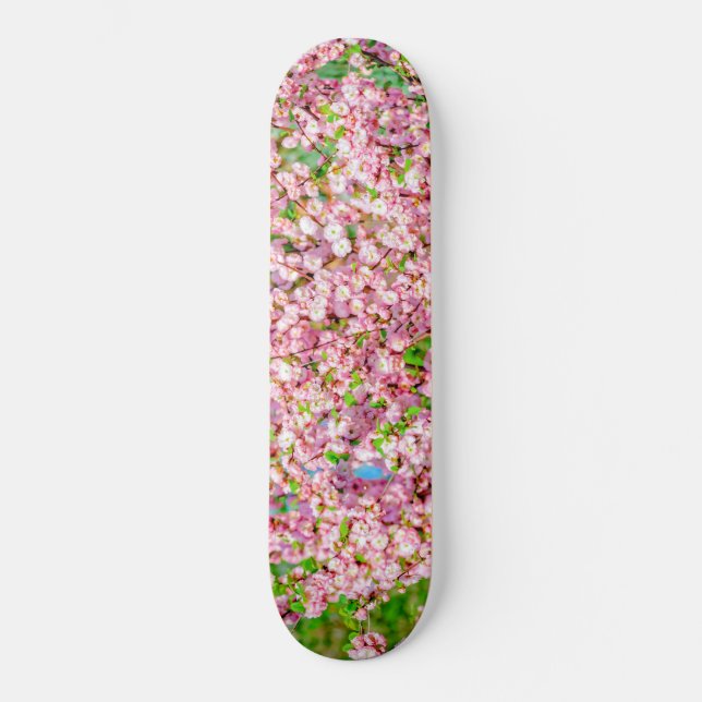 Skateboard Pluma florida (Anverso)