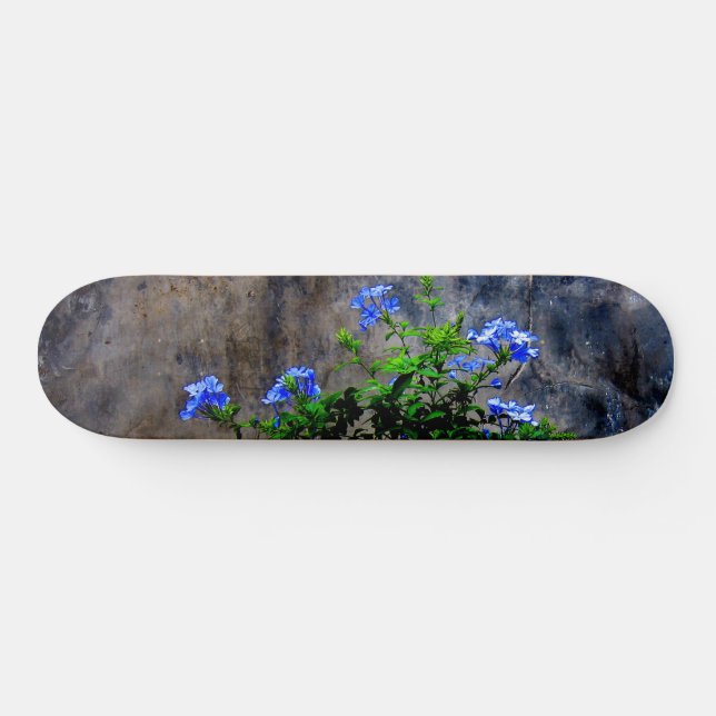 Skateboard Plumbago azul (Horz)