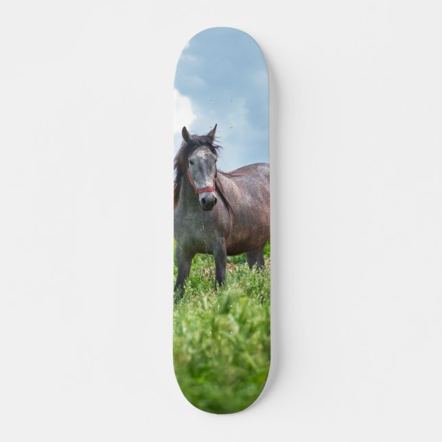 Skateboard Poderoso caballo gris en el campo (Anverso )