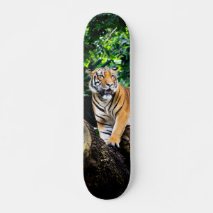 Skateboard Poderoso cazador tigre de Bengala