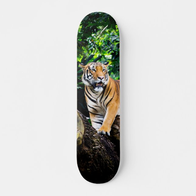 Skateboard Poderoso cazador tigre de Bengala (Anverso )