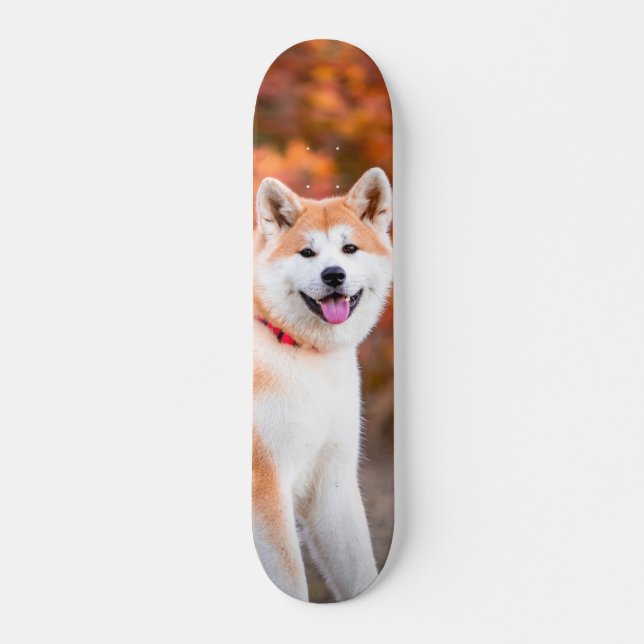 Skateboard Poderoso perro Akita japonés sentado (Anverso )