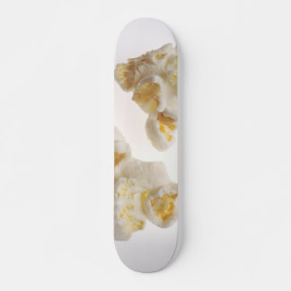 Skateboard Popcorn