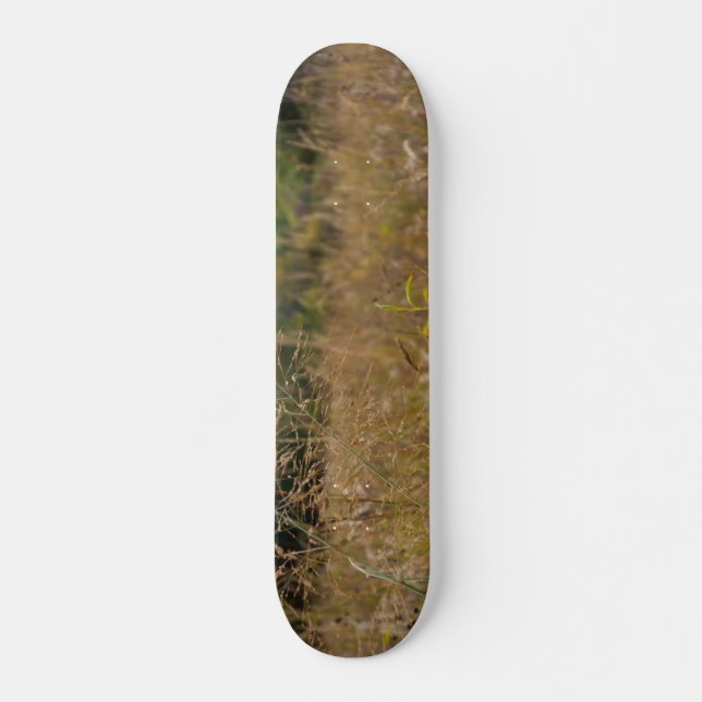 Skateboard Prairie sobrecrecida (Anverso )
