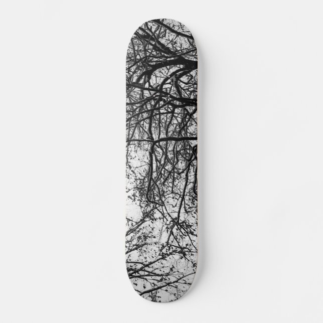 Skateboard primera nieve (Anverso)