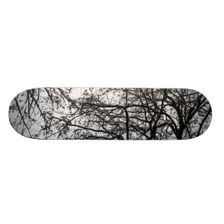 Skateboard primera nieve