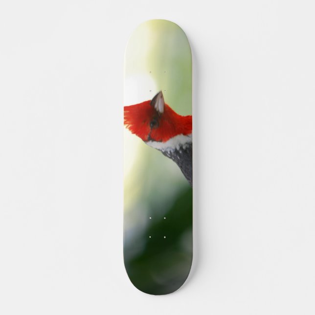 Skateboard Producto del personalizar (Anverso )