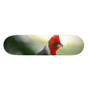Skateboard Producto del personalizar