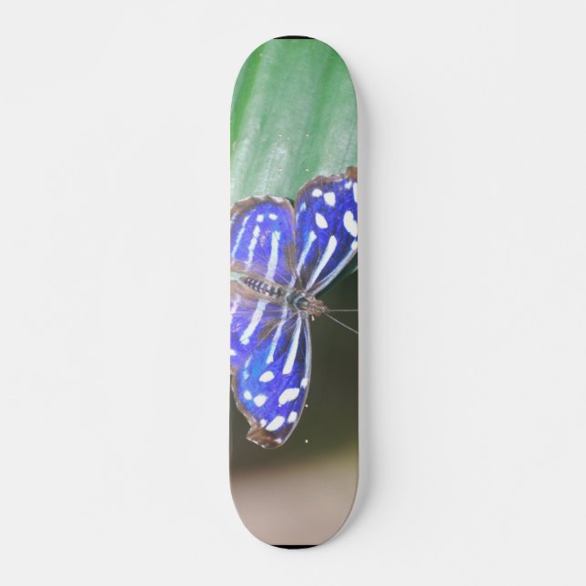 Skateboard Producto del personalizar (Anverso )