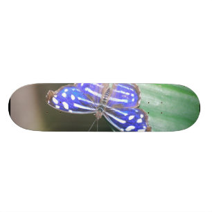 Skateboard Producto del personalizar