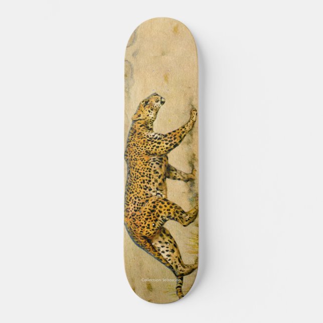 Skateboard Prowling Cheetah (Anverso)
