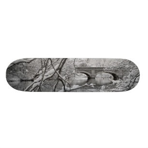 Skateboard Puente del arco sobre el río congelado en invierno
