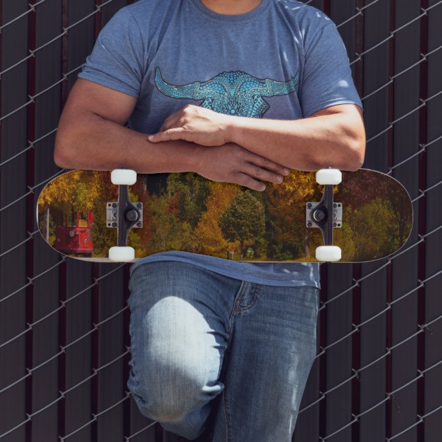 Skateboard Puerto de Huevo, Temporada de Caída de la Primera  (Exterior 3)