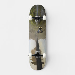 Skateboard Puesta de sol en Ruby Beach, Parque Nacional Olímp